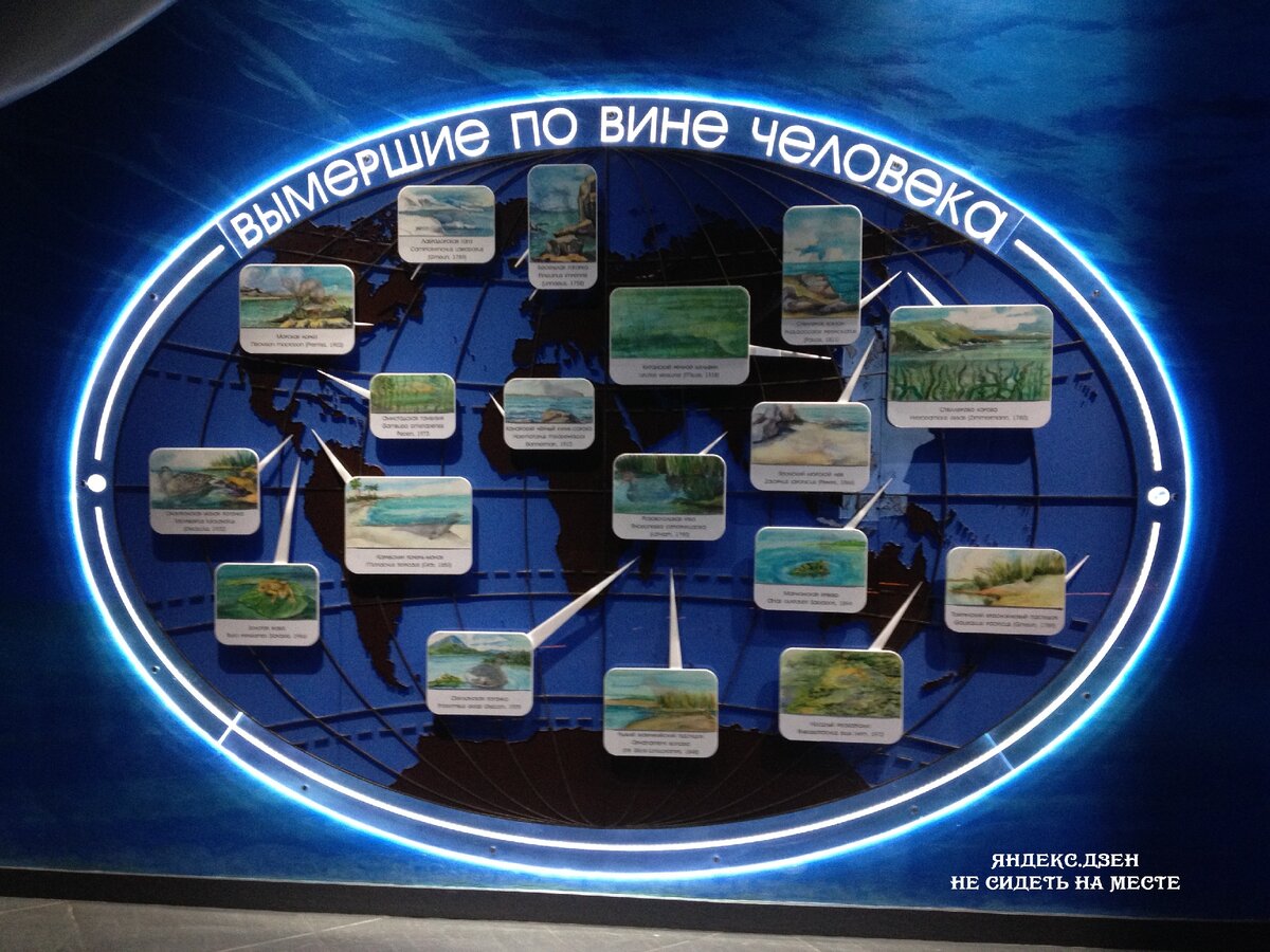 Бомбическая экспозиция. Отдельно писала про неё и перечисляла всех животных²