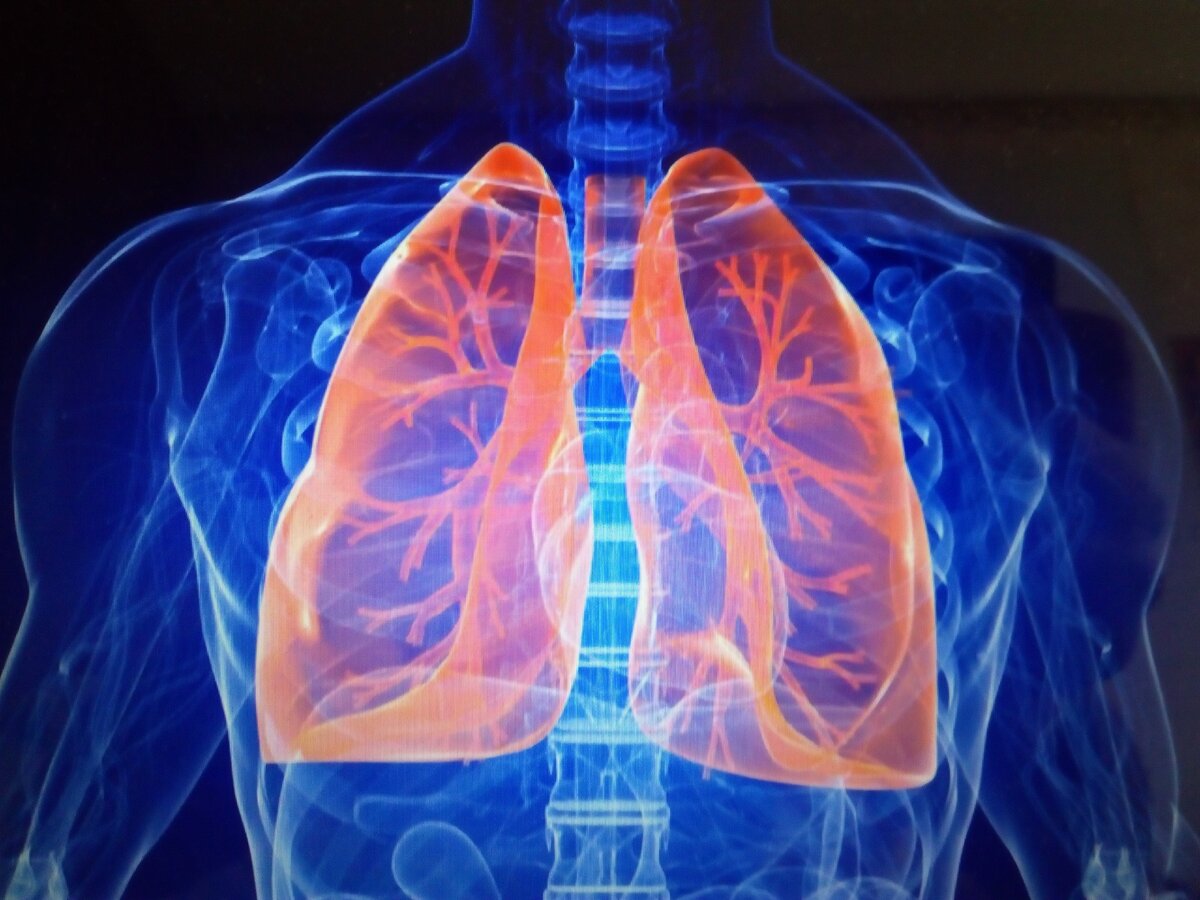 Взято из открытых источников