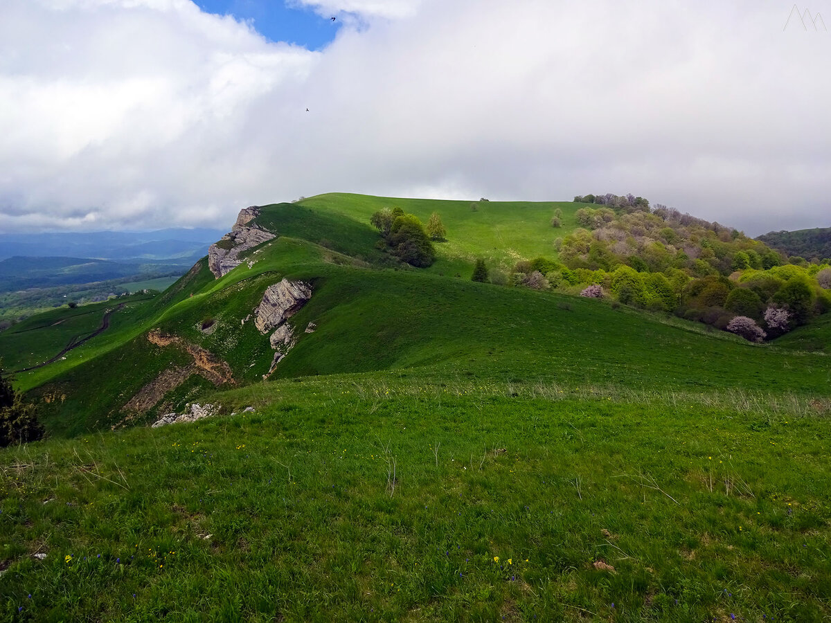 Герпегем псебай фото