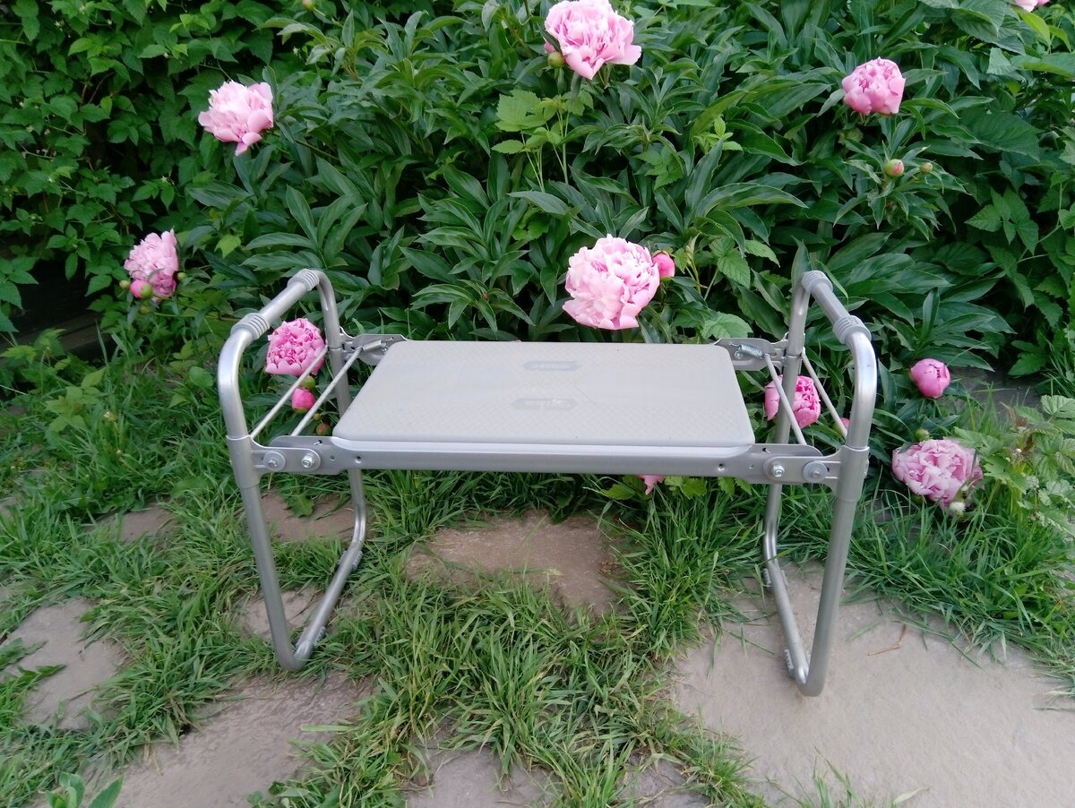 Вот такая скамейка