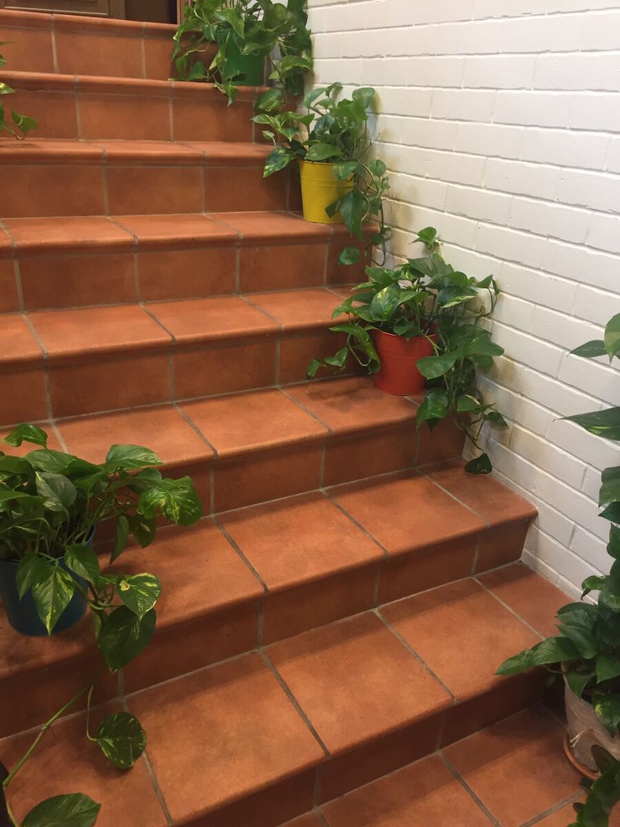 Клинкерный ступени Stroher