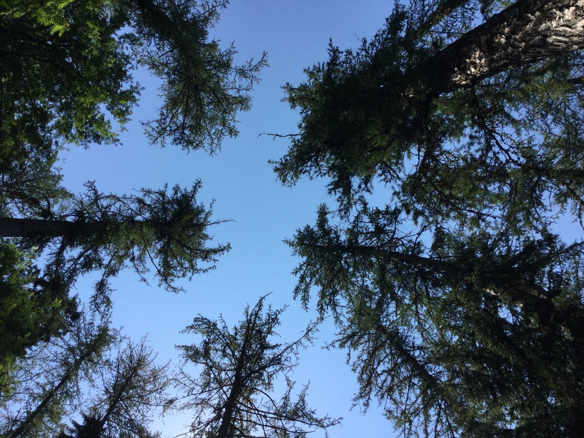 Подписывайтесь на канал=✔, ставьте лайк=👍