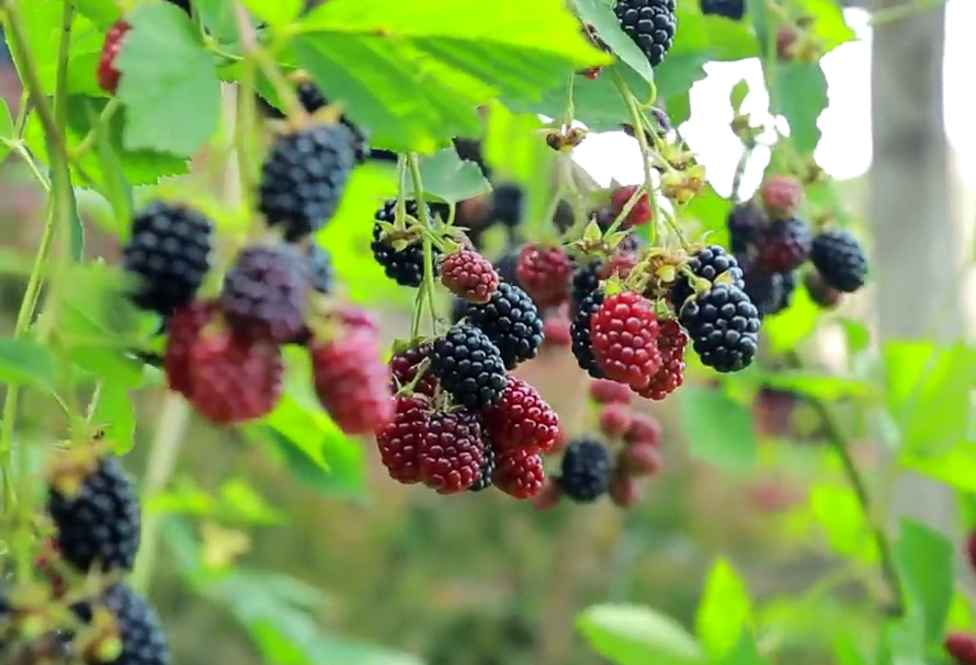 Фото из личного архива автора