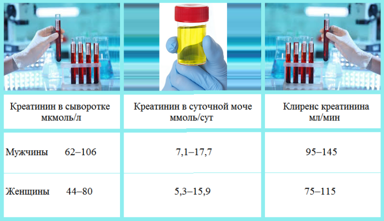 СКФ или скорость клубочковой фильтрации является лучшим маркером состояния почек.