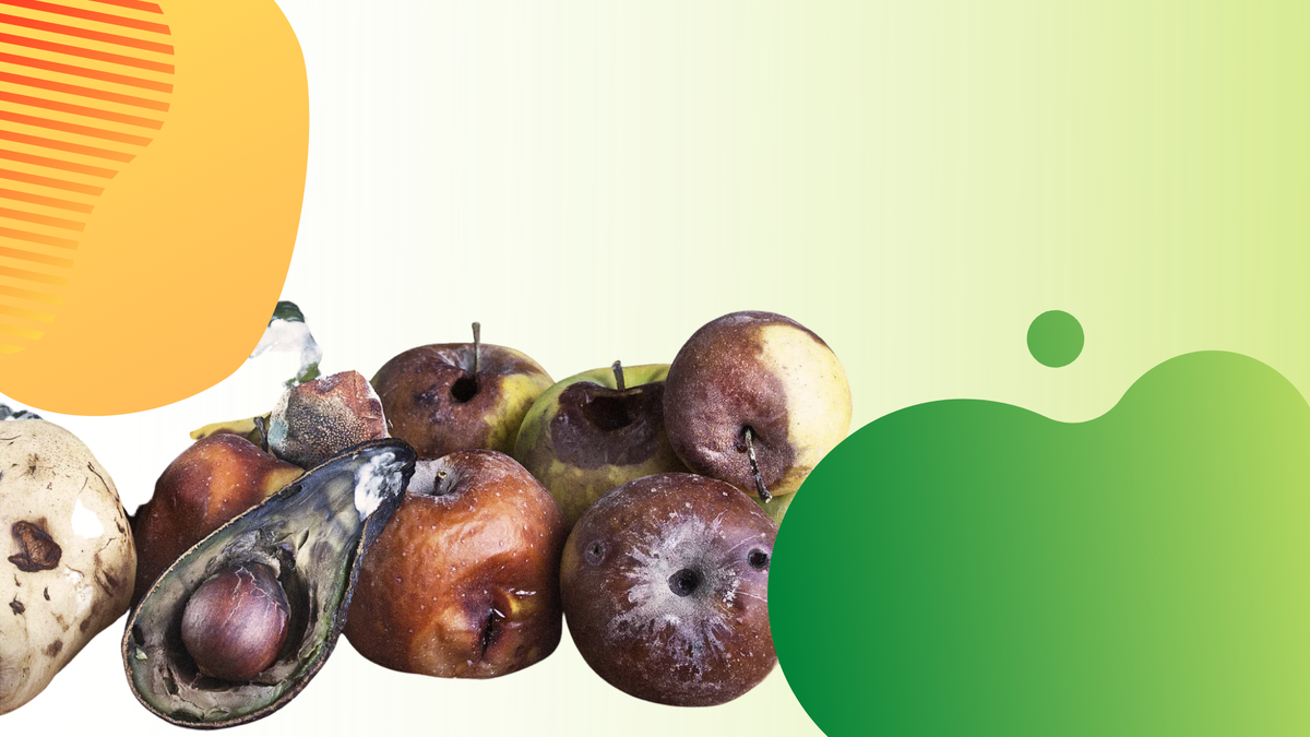 Картинка от Fresh Eco Food