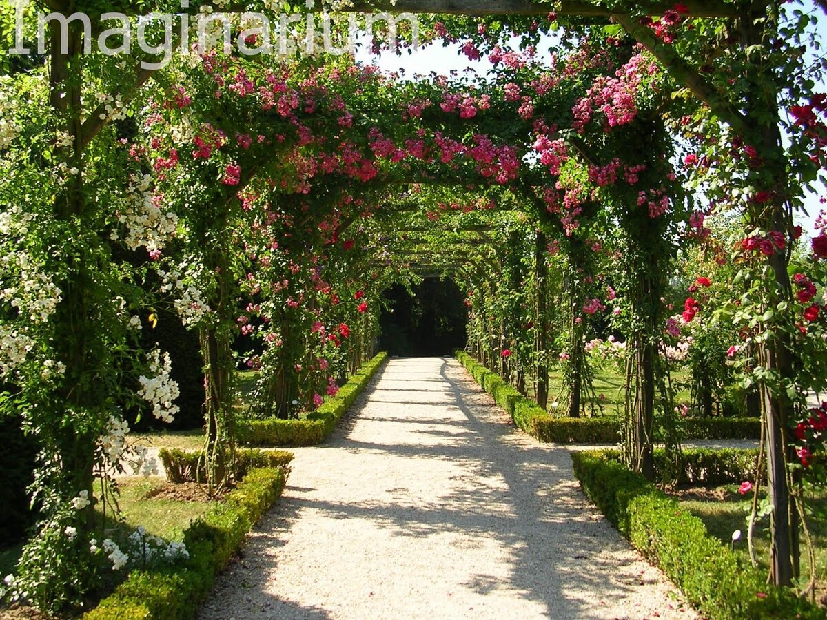 Парфюм Jardins de Bagatelle от Guerlain | Imaginarium | Дзен