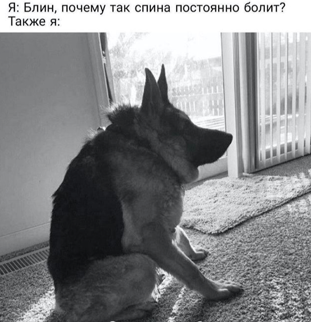Что такое правильная осанка?