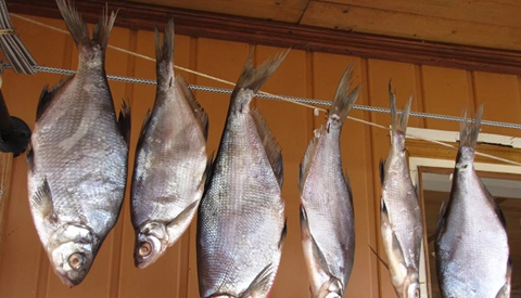 Вяленая рыба