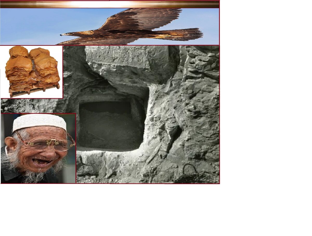 Коллаж Яндекс картинок.