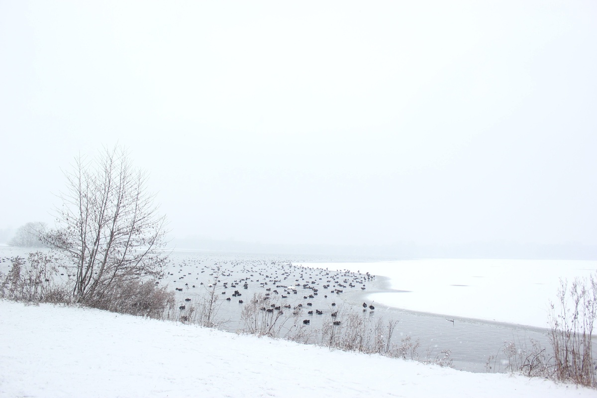 Photo by Micheile Henderson on Unsplash