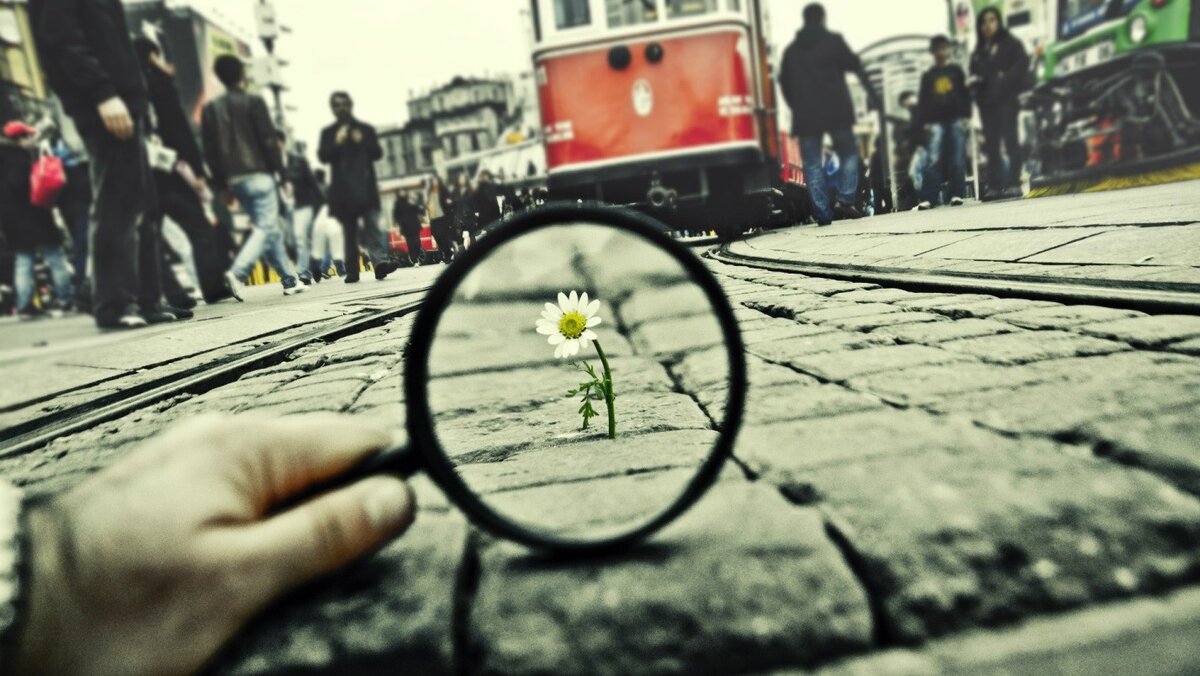 Фото - chexov.net