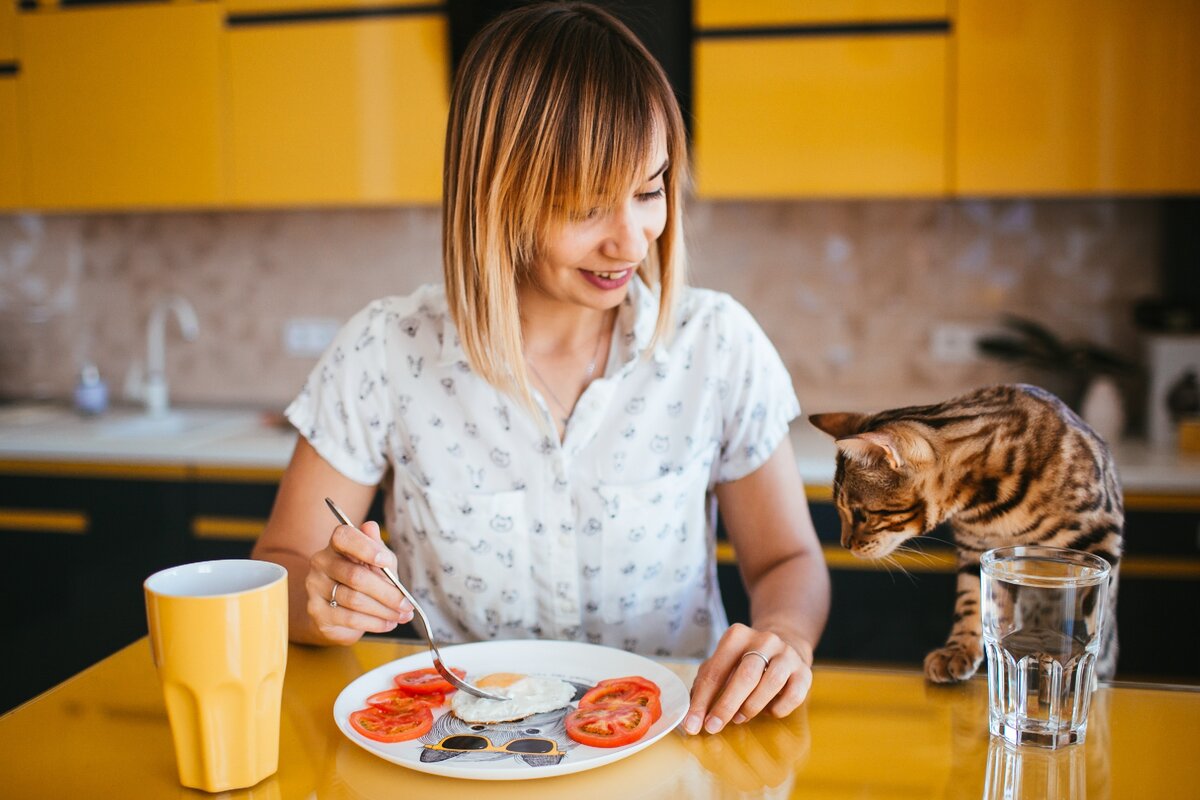 Питание кошек. Girl eat cat. Кашель у кошки. Девушка ест кота. Girl eat cat.