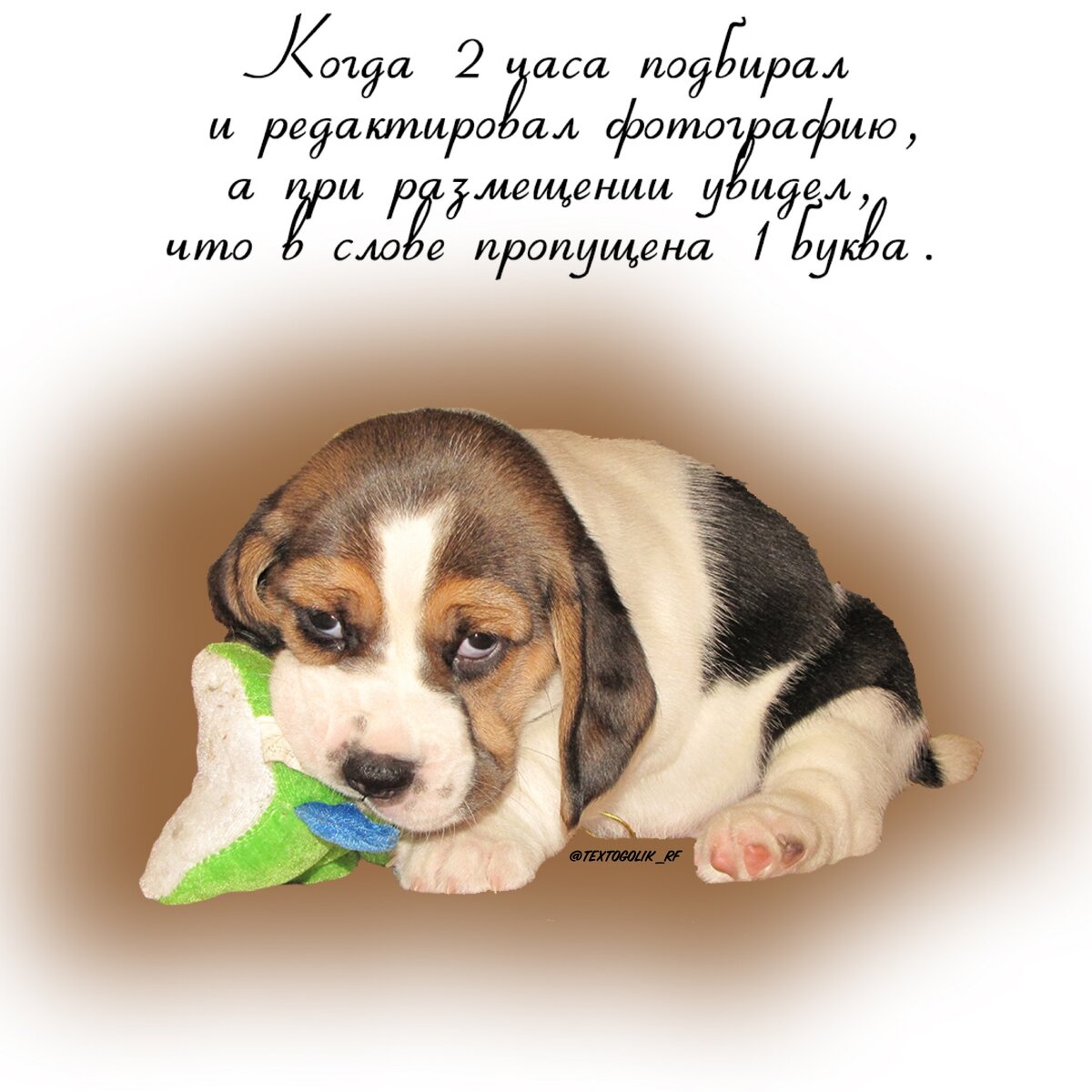 Textogolik_rf - мой аккаунт в Инстаграм