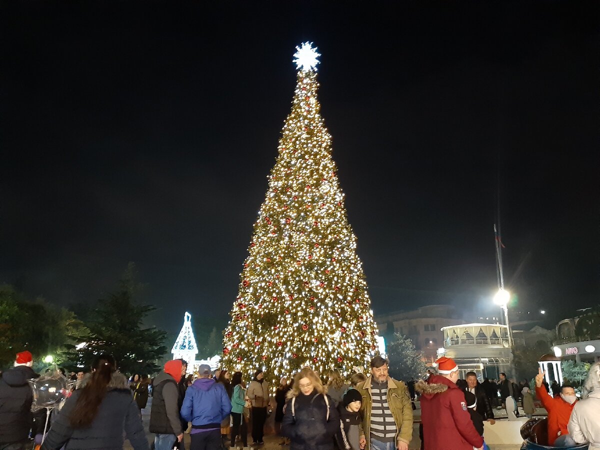 Елка в Ялте