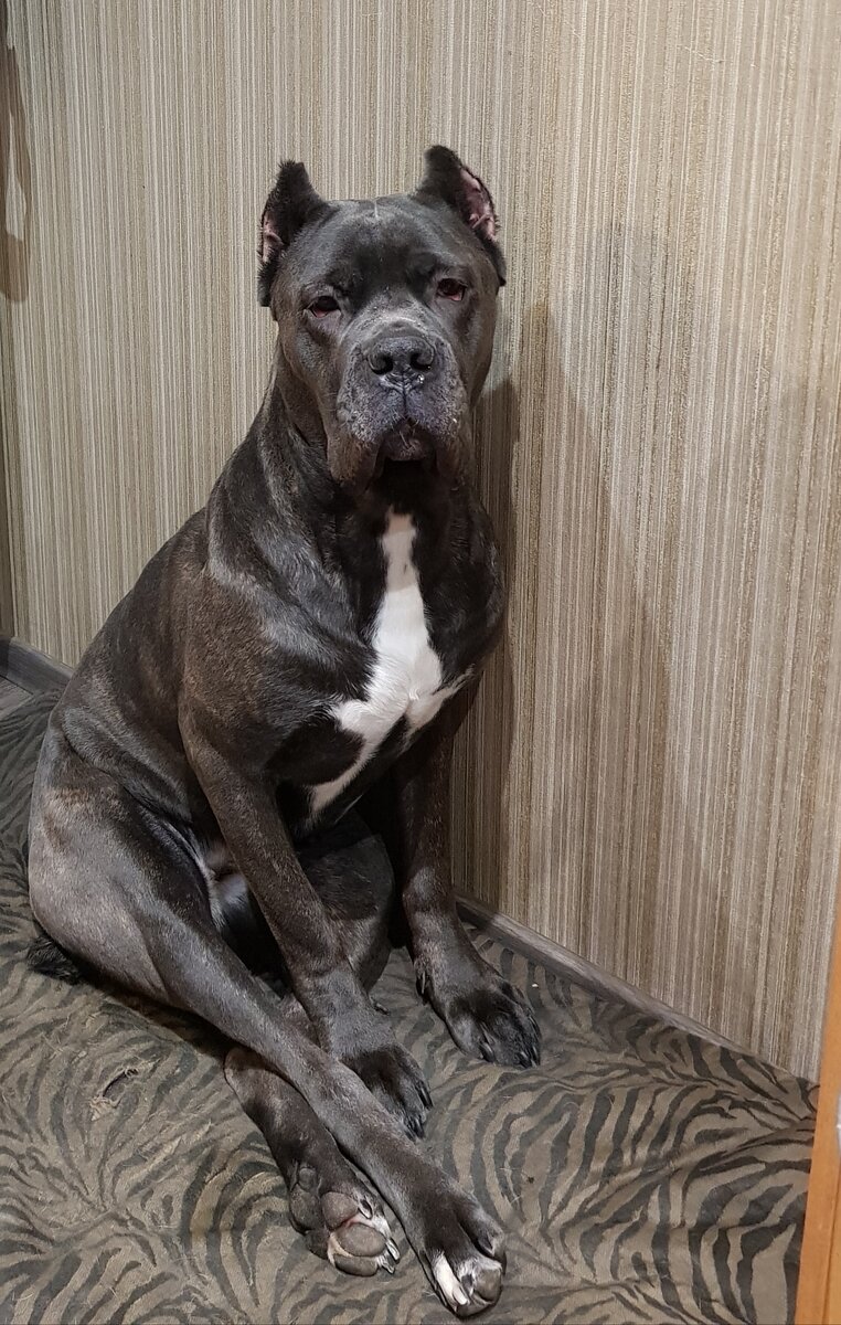 А я что? А я ничего!