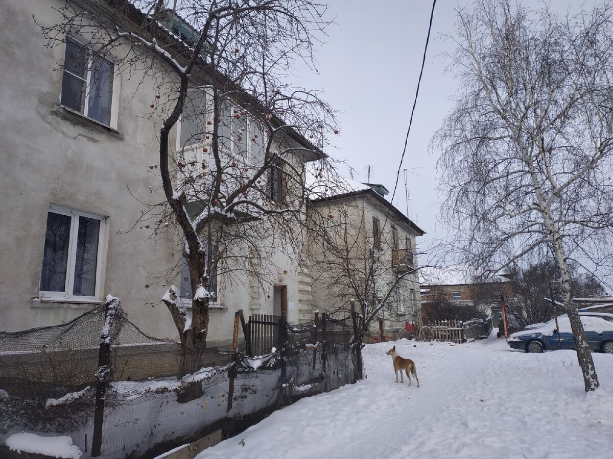 Доброго здравия, читатель!