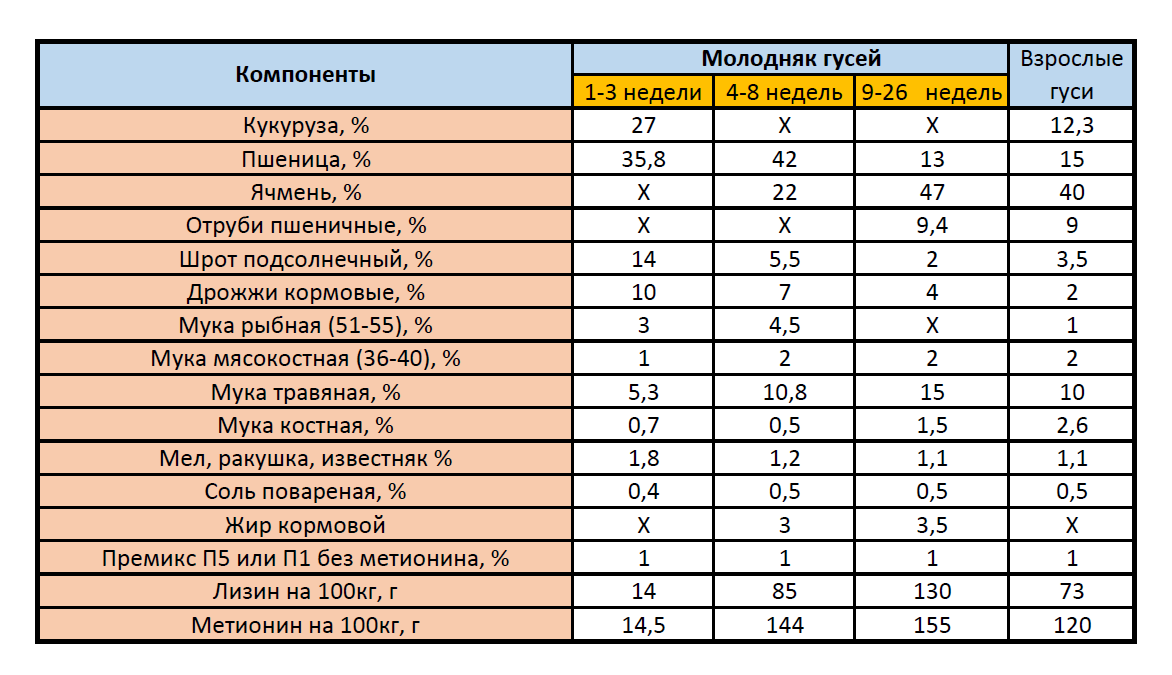 Гуси — один из самых