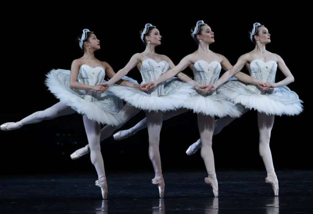 "Лебединое озеро". Фото из открытого источника Интернет