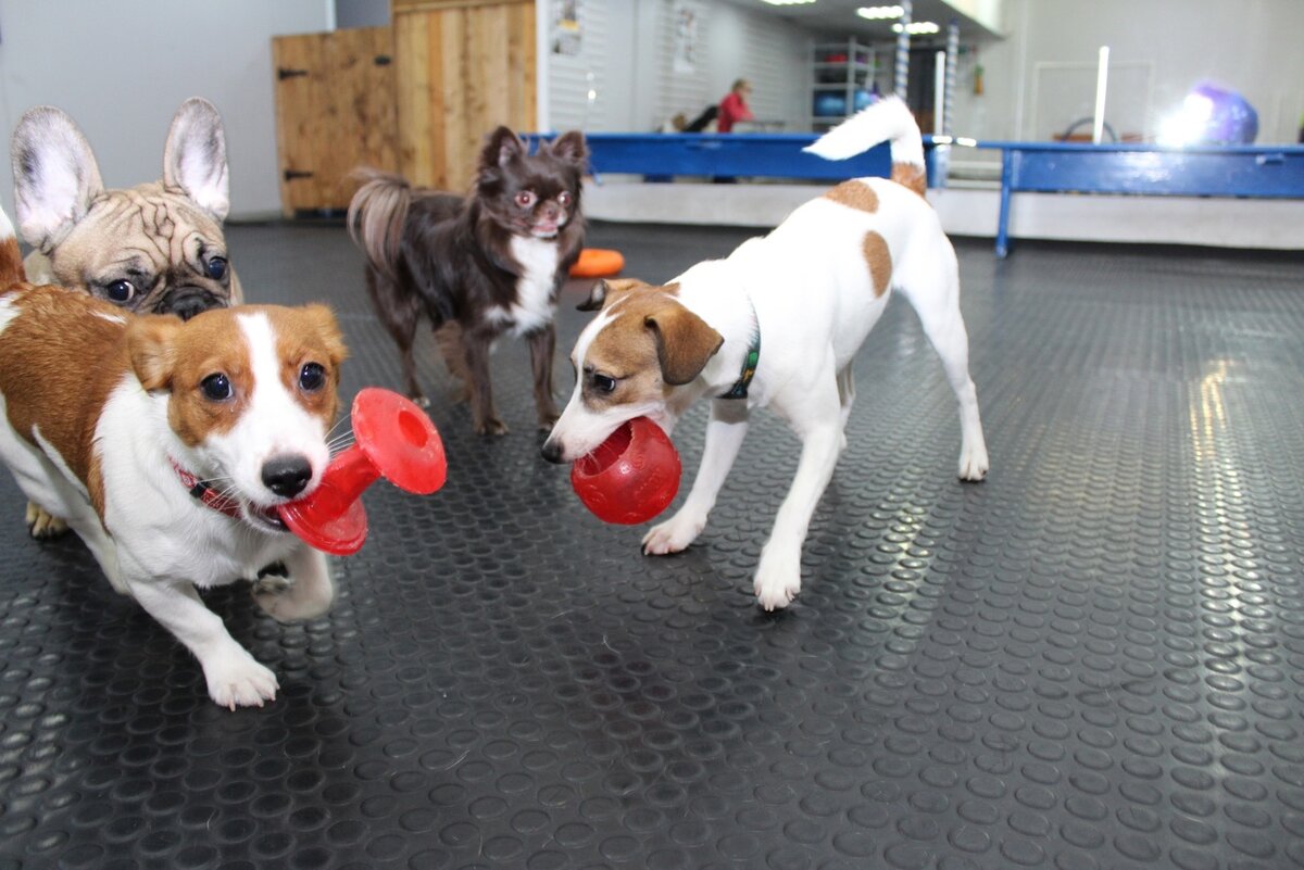 Посетители нашего детского сада