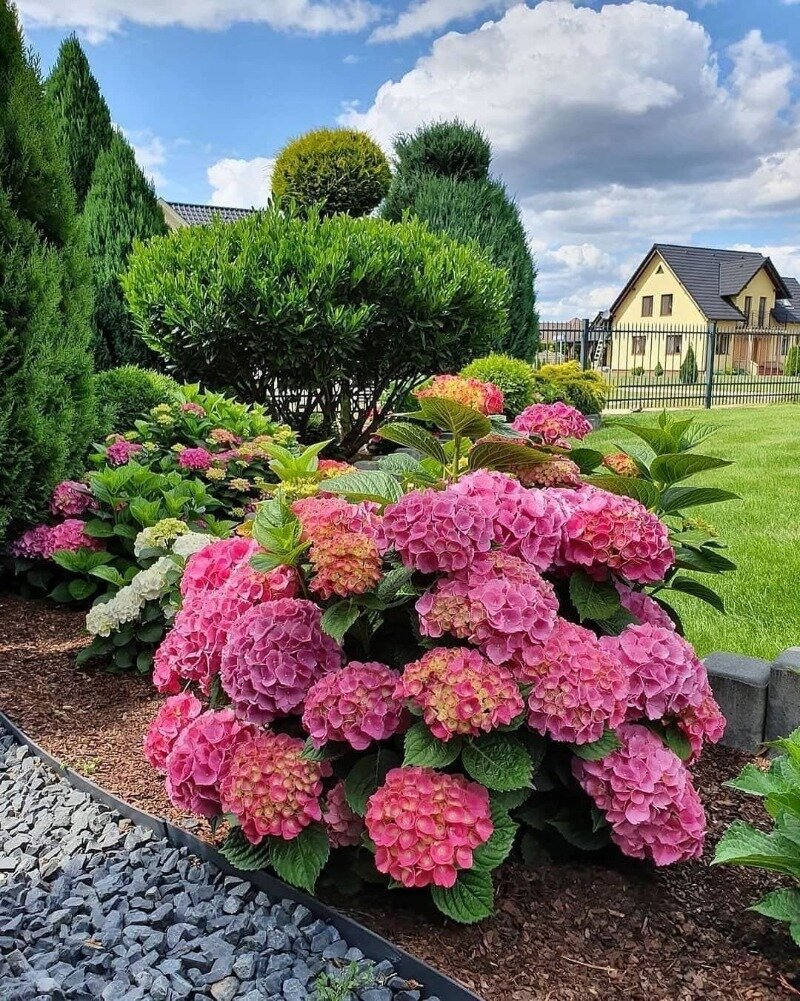 Фото https://www.instagram.com/p/CNutU9yJEIP/