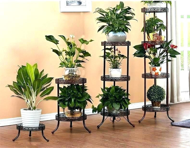 Источник: Pinterest