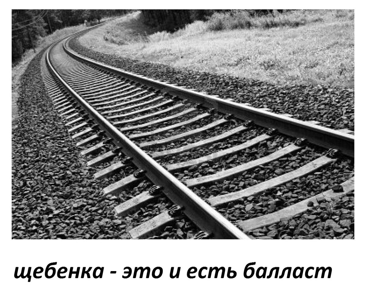 Но в нашей видимо был янтарь) Даже странно, что экологи его пожалели на стройку века.