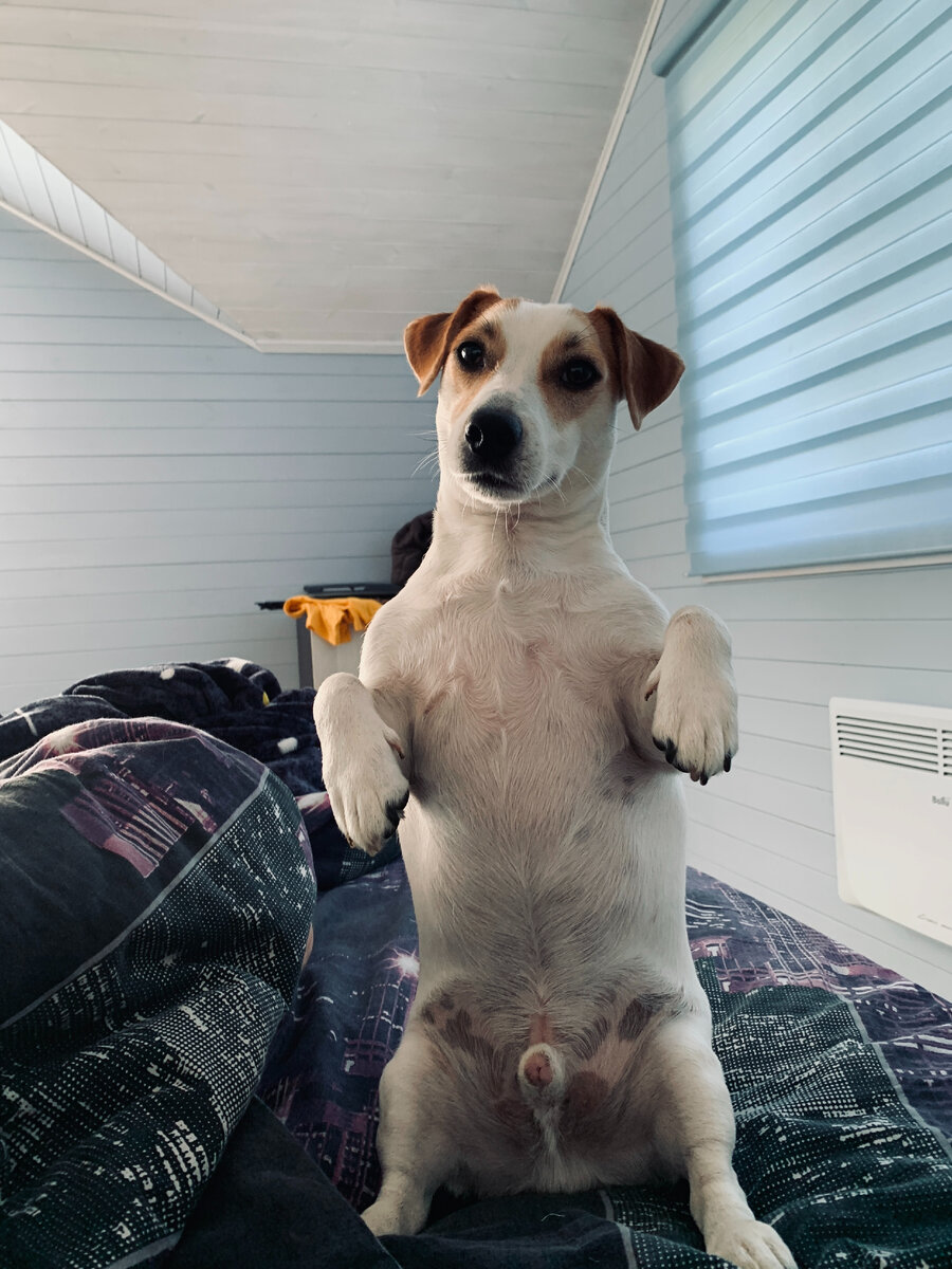 Есть чем похрустеть? К слову это фото сделано в 06:13 выходного дня... ему все равно, выходной или нет :( режим - есть режим 