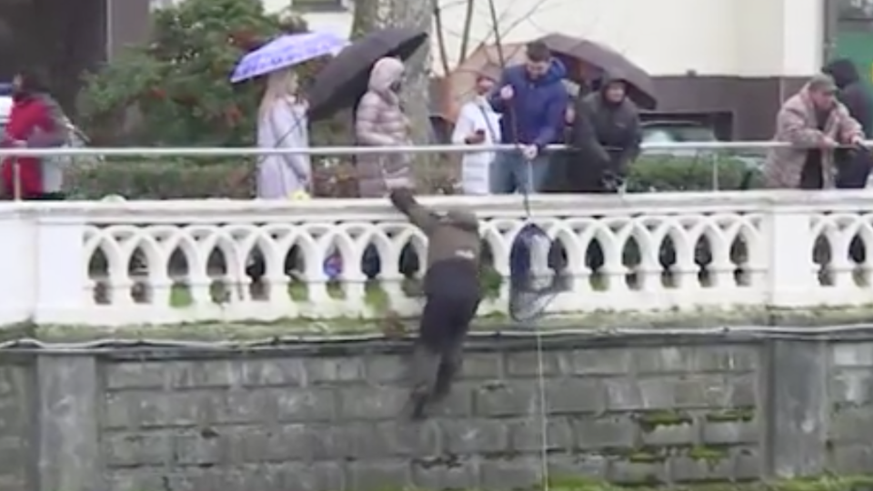 Кадр из сюжета РЕН ТВ