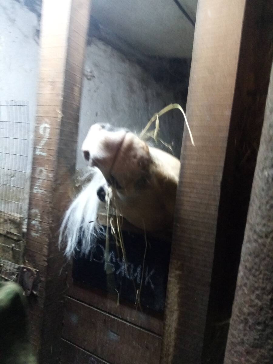 А доброго утра снова желает жизнерадостный Мэджик