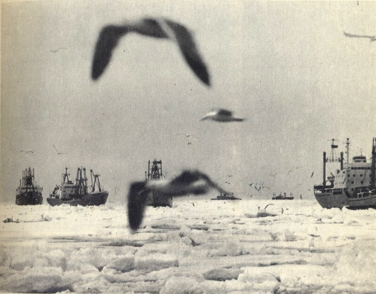 Суровые климатические условия затрудняют судоходство в полярных морях. Советские суда на пути в Антарктиду