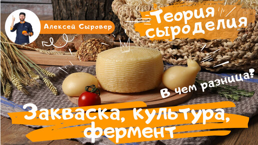 Закваска, культура, фермент: в чем разница?