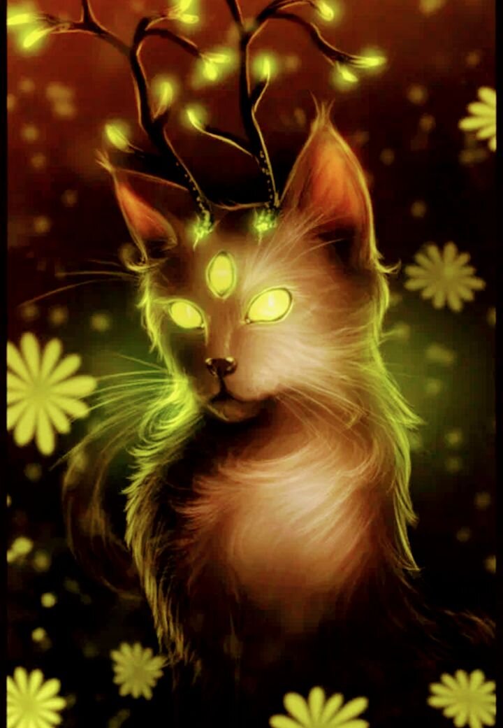 Фото из интернета