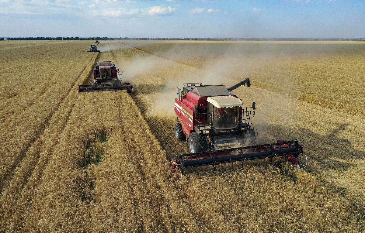 Сергей Мальгавко/ТАСС