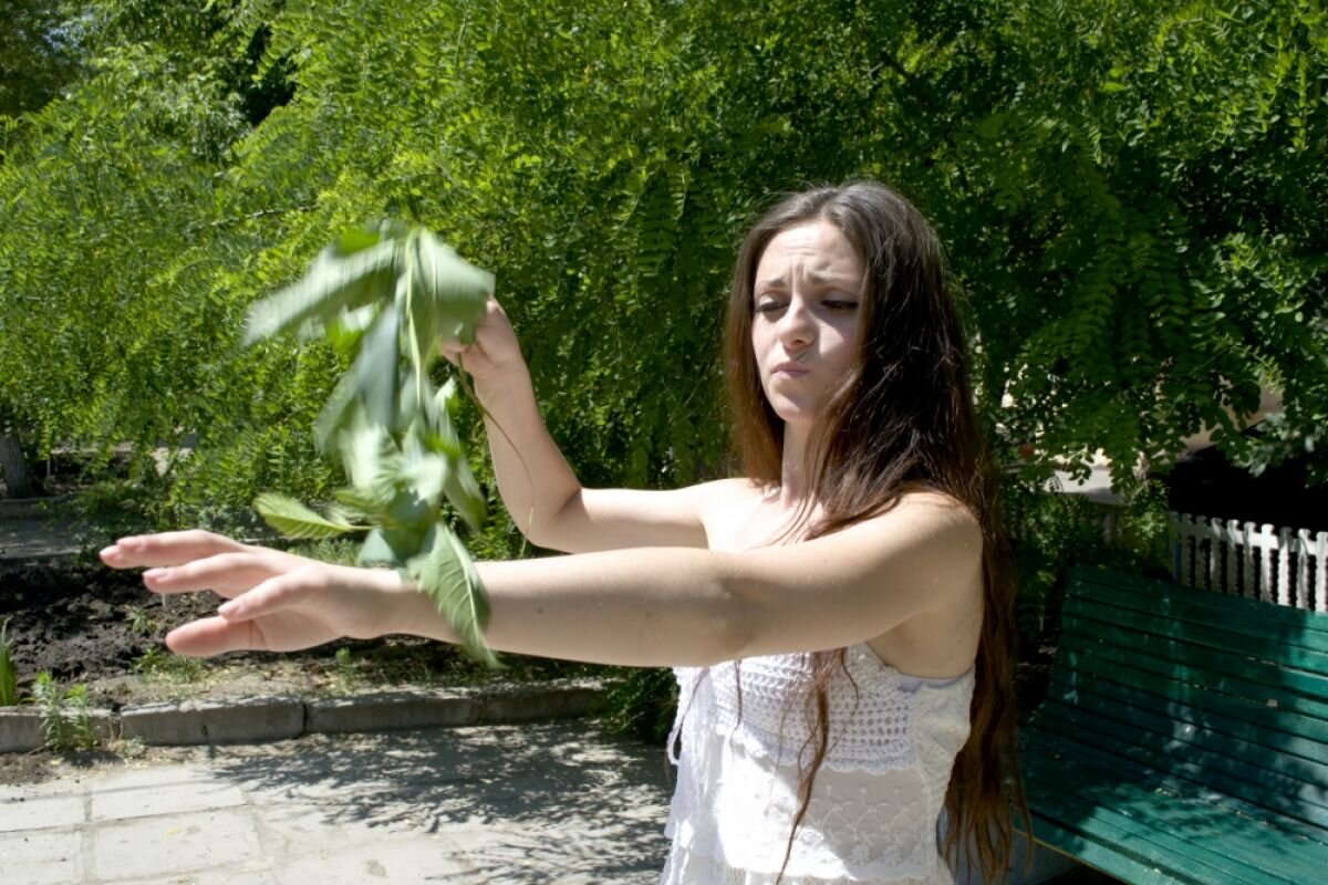    Жители Новосибирска жалуются на вторую волну мошкары в городе