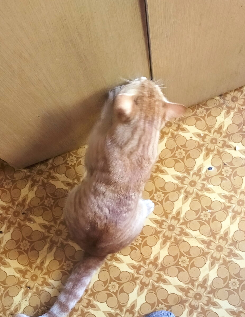 Личное  фото