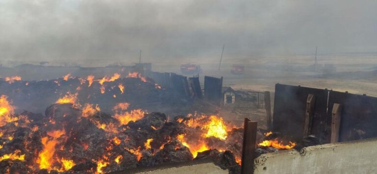    В Адамовском районе спасатели ликвидировали крупный пожар Марина Шарт