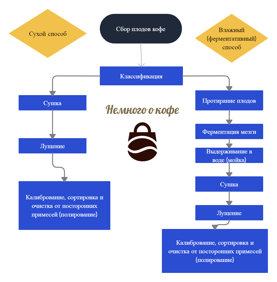 Способы первичной обработки плодов