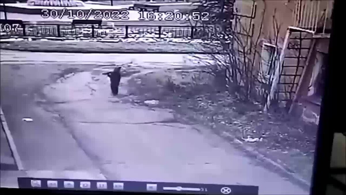 ребенка сбила машина во дворе. сергей мамонтов депутат татарск. автобус фото для детей. мужчина переехал ребенка. московская 11 колпино.