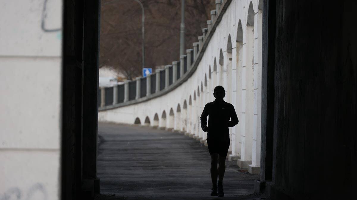    Фото: Сергей Шахиджанян / Вечерняя Москва