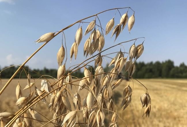 Фото "Бежецкого независимого телевидения" 