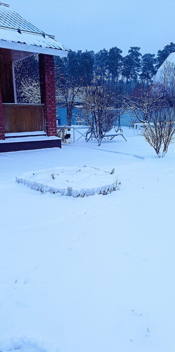 Намело снега, фото  6 ноября