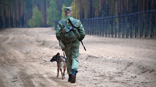   © Sputnik / Виктор Толочко