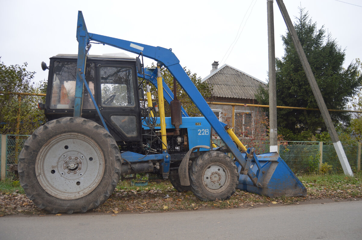 Фото автора.12.11.2022. 