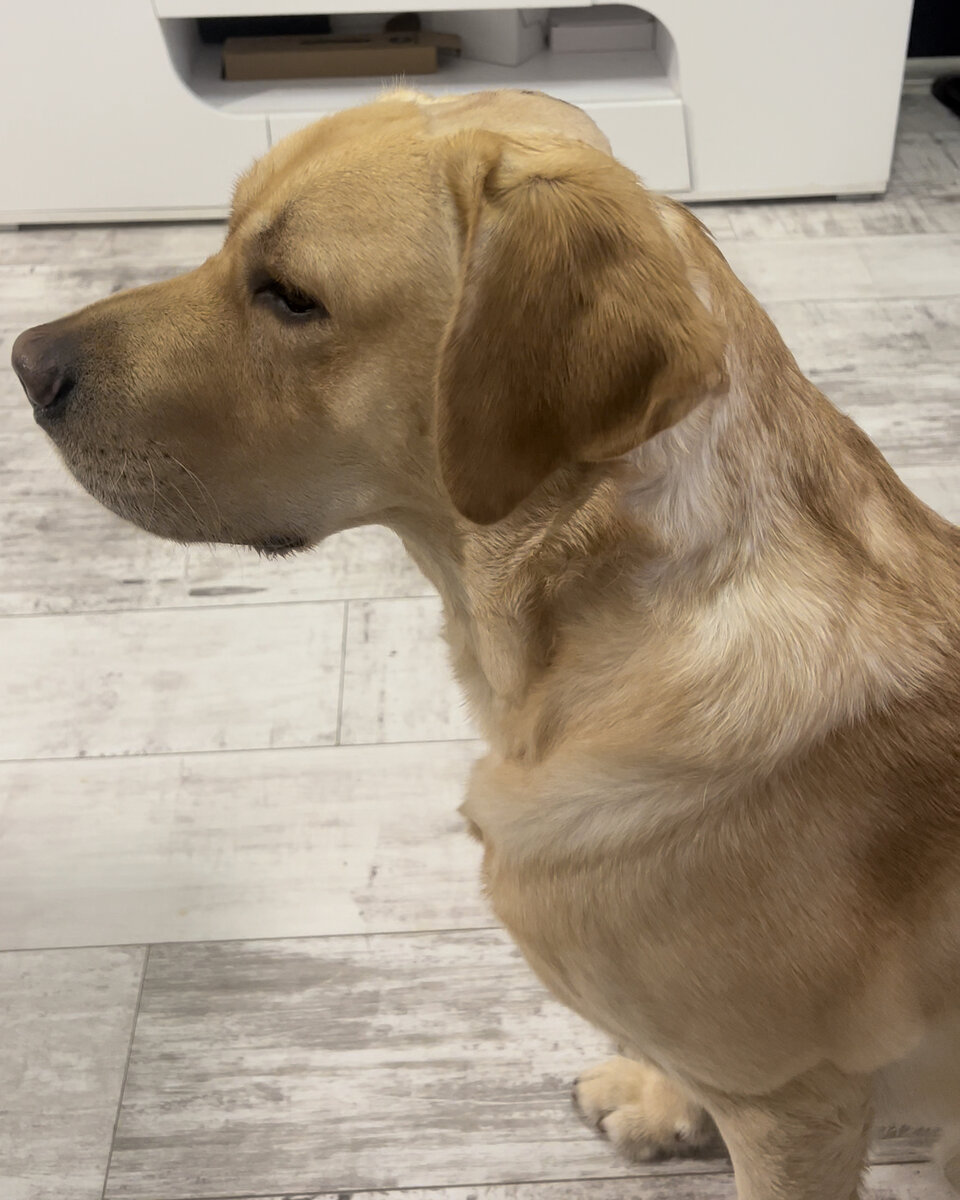 на 3 день после операции