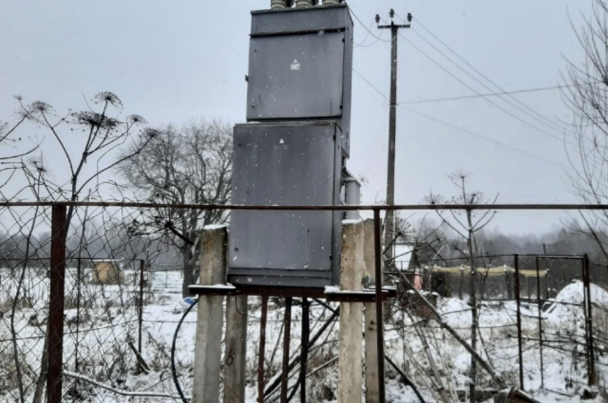    В Тверской области три кота залезли на подстанцию и погибли