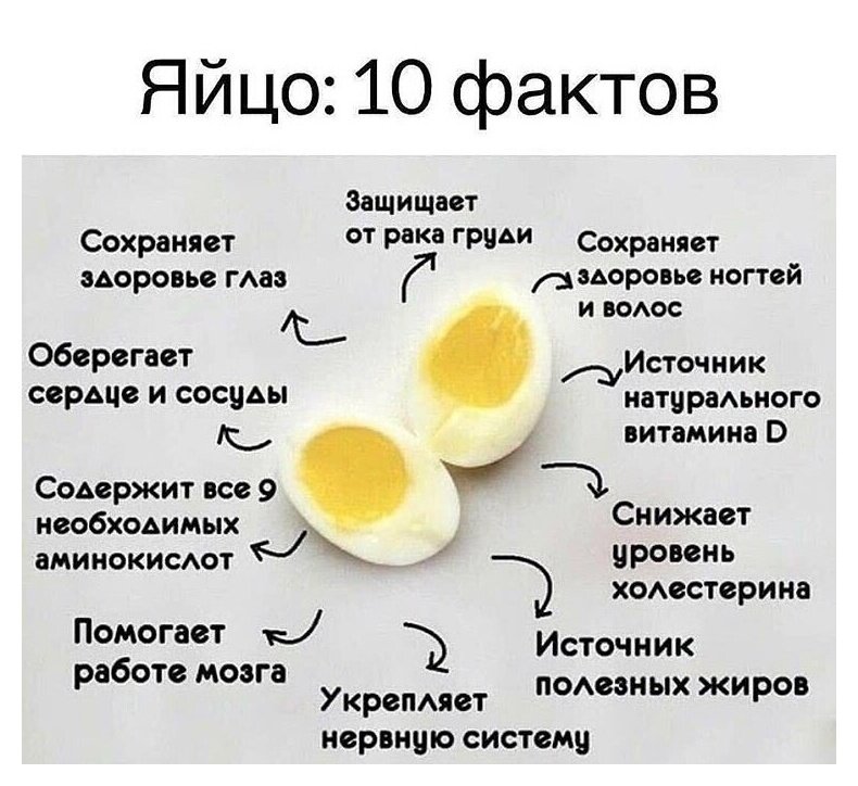Польза куриных яиц. Источник фото сайт: https://clck.ru/32iXUE