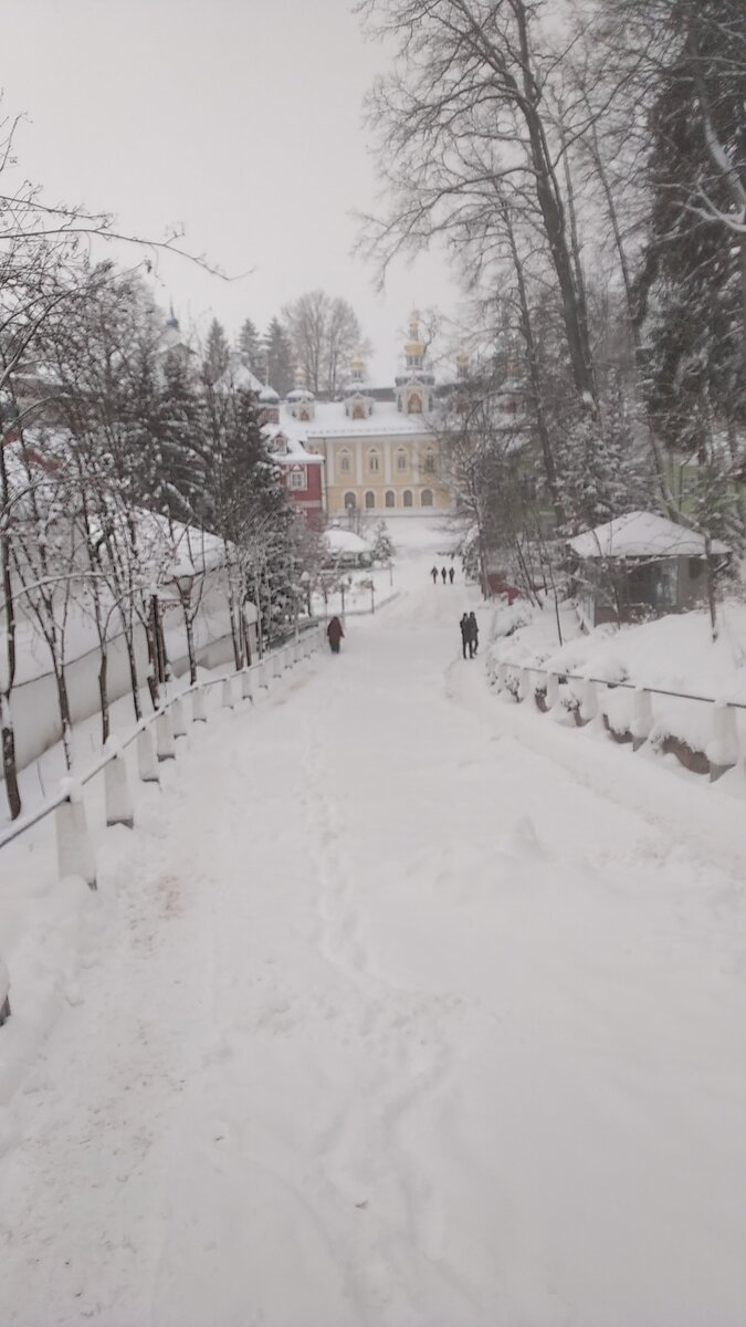 ВИД НА КРОВАВУЮ ДОРОЖКУ
