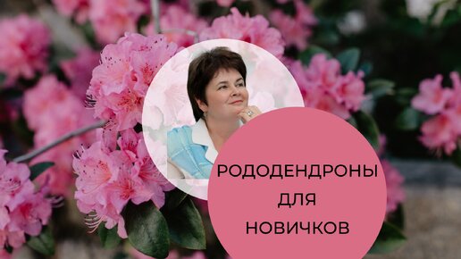 Как вырастить рододендроны