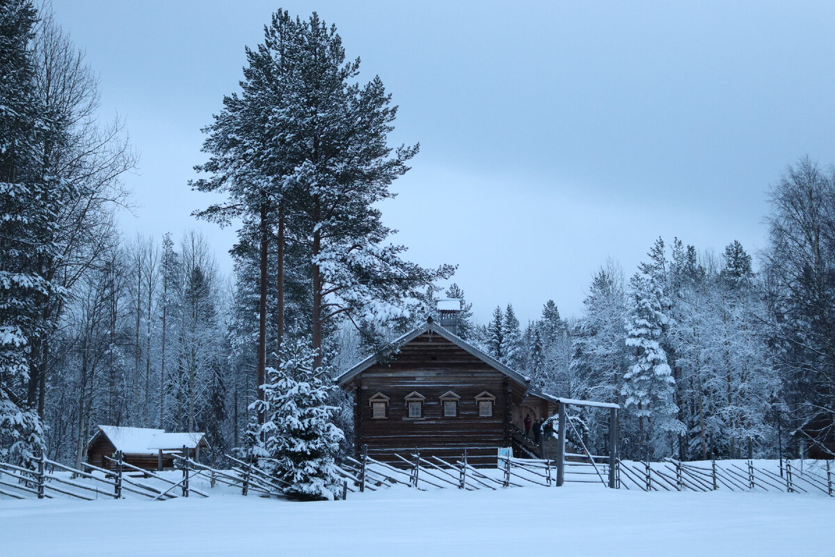 фото автора Елены М.