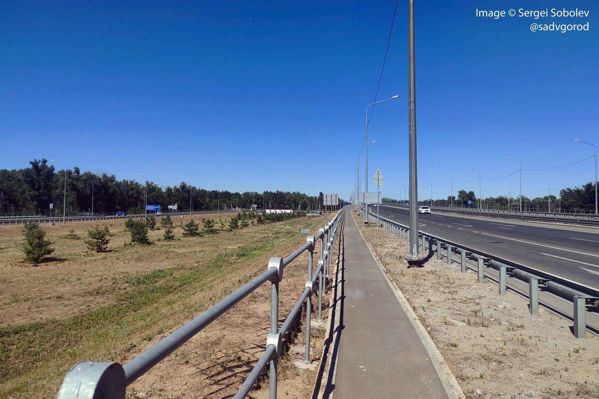 Пойменский мостовой перегон в Волжский: обочины обсажены соснами... Интересно, выживут ли они здесь? Фото можно листать.